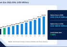 Cannula Market Trends: Advancing Precision and Safety in Medical Procedures