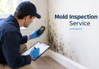 What Happens During Mold Visual Inspection Services?