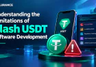 Understanding the Limitations of Flash USDT Software Development