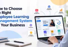 How to Choose the Right Employee Learning Management System for Your Business