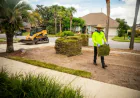 Stump Grinding in Elgin, IL: Restore Your Yard After Tree Removal