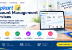 Flipkart Seller Account Management Company in India