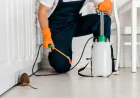 Rodent Control for a Cleaner and Safer Property