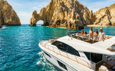 What Should You Look for When Choosing a Boat Tour With Boat Trips Club Los Cabos