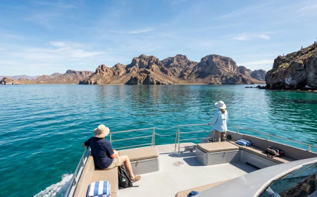 5 Reasons to Plan a Sea of Cortez Boat Tour in La Paz With Boat Trips Club