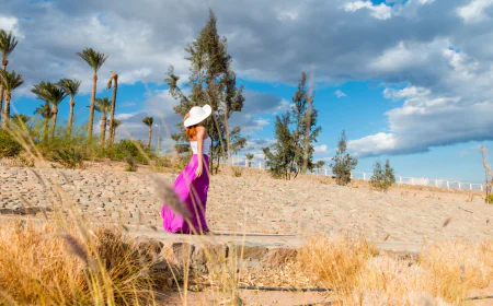 What Are the Best Ways to Explore Qatar as a Tourist?