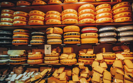 Specialty Cheese Market Size, Trends, and Growth Forecast 2026-2033