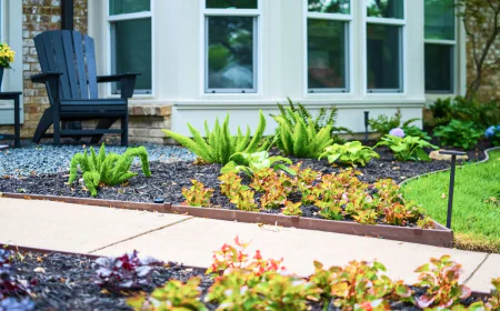 Creating Beautiful and Functional Outdoor Spaces in Dallas