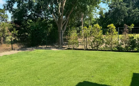 Artificial Turf Installation in Southlake TX or Sod Installation in Southlake TX: Choosing the Right Lawn