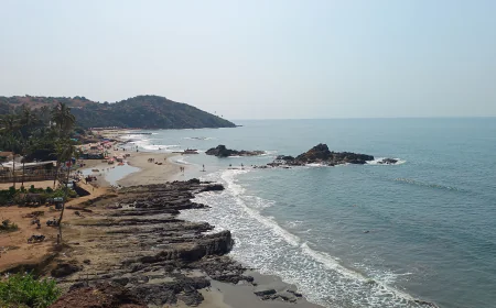 Why Goa Honeymoon Tours Are Perfect for First-Time Travelers