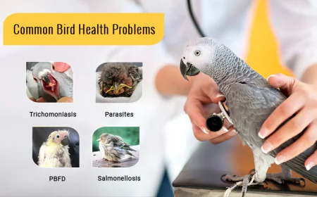 Common Bird Health Problems