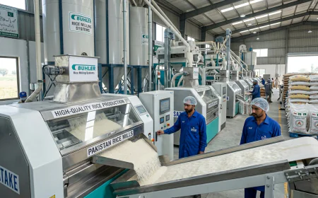 High-Quality Rice Production: Rice Mills in Pakistan and Their Key Role
