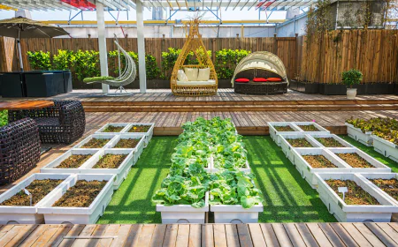 How Outdoor Living Spaces Contractors Create Stunning Backyard Retreats