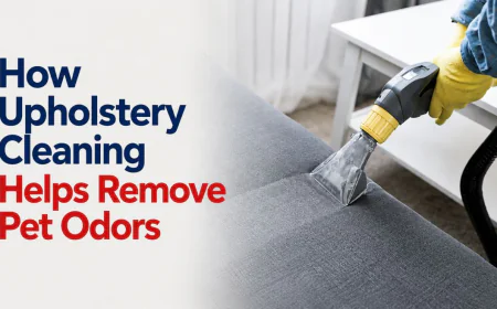 How Upholstery Cleaning Helps Remove Pet Odors