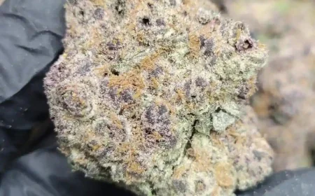 Runtz THCA Strain: A Flavorful Hybrid Worth Exploring
