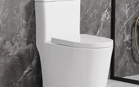 How One Piece Toilet Designs Improve Bathroom Style