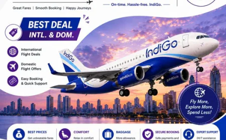 Best B2B Booking Portal for Travel Agents – Fly24hrs
