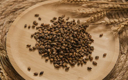 Specialty Malt Market Size, Trends, and Strategic Outlook 2026-2033