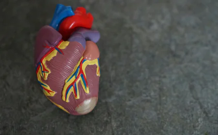 Cardiometabolic Diseases Market Size, Trends, and Strategic Outlook 2026-2033