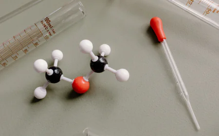 Global Isoamylene Market Size, Trends, and Growth Forecast 2026-2033