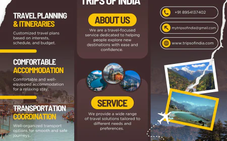 Travel Agency in Dehradun | Explore More With Trips of India