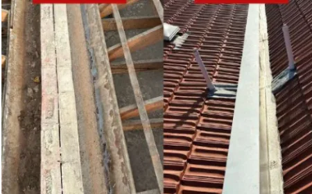 How to Identify Roof Leaks and Prevent Further Damage