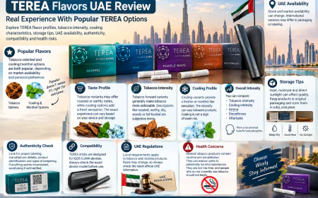 TEREA Flavors UAE Review: Real Experience With Popular TEREA Options