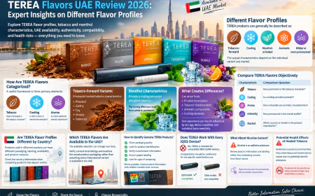 TEREA Flavors UAE Review 2026: Expert Insights on Different Flavor Profiles