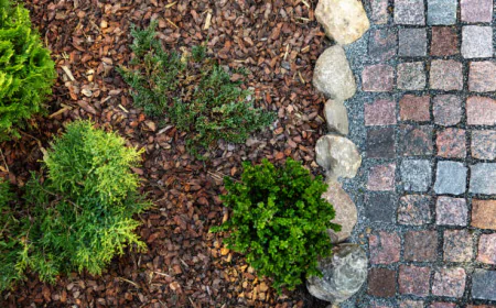 How Does Mulch Improve Your Cotuit MA Landscape?