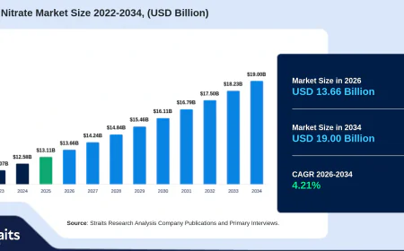 Calcium Nitrate Market Growth Outlook Through 2034
