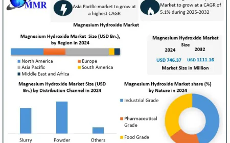 Magnesium Hydroxide Market Size and Future Growth Analysis Through 2032