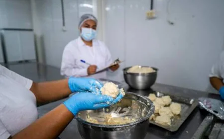How Hospital Food Delivery Services Ensure Hygiene & Safety