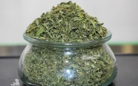 Buy Elite Cannabis Shake Weed Fast Delivery in Toronto