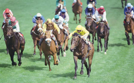 10 Ways Horse Racing System Builder Software Can Improve Your Betting Analysis