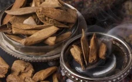 Agarwood Wholesale Supplier for Global Buyers