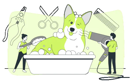 How a Pet Marketing Agency Helps Pet Care Businesses Grow Online