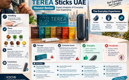 TEREA Sticks UAE Honest Review: Expert Analysis of Everyday User Experience