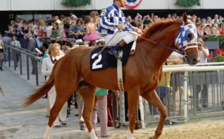 Why RWITC Mumbai Remains the Heart of Indian Horse Racing