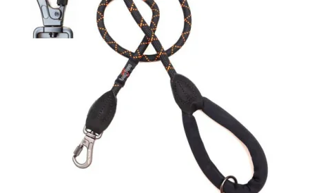 Pretty in Pink: Choosing Comfortable Dog Walking Gear for Everyday Adventures