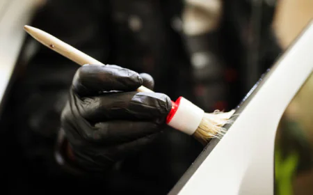 The Importance of Professional Paint Correction