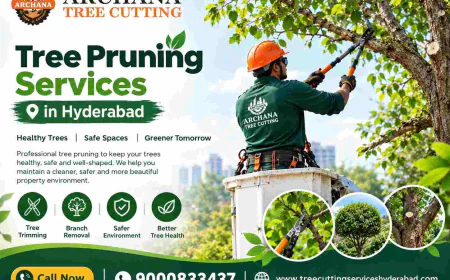 Tree Pruning Services in Hyderabad: Benefits, Expert Care & Maintenance Guide