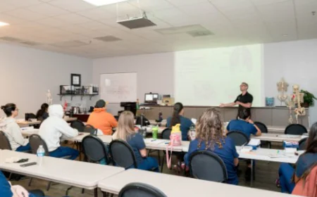 Massage Schools in San Antonio: What to Know Before Enrolling