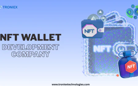 How to Launch a Scalable NFT Wallet for Your Web3 Business