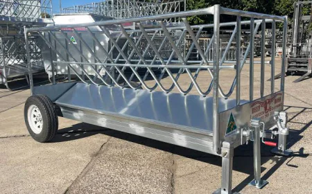 Evolving Dynamics and Strategic Growth in the Global Cattle Feeder Market