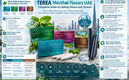 TEREA Menthol Flavors UAE: Complete Guide to Cooling Flavors and Choices