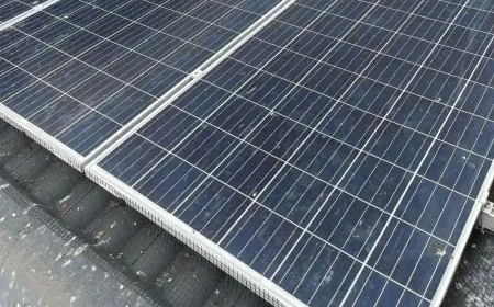 Fast, Emergency Solar Panel Bird Proofing Melbourne Solutions | Tom's Pest Control Melbourne