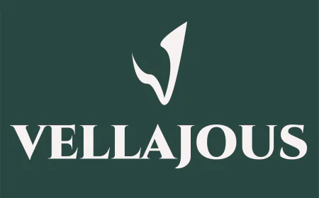 Vellajous Is Long Lasting Fragrance – Make Every Moment Memorable