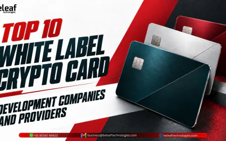 Top 10 White Label Crypto Card Development Companies and Providers