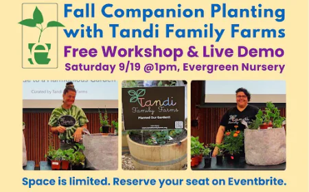 Fall Companion Planting Workshop | Evergreen Nursery