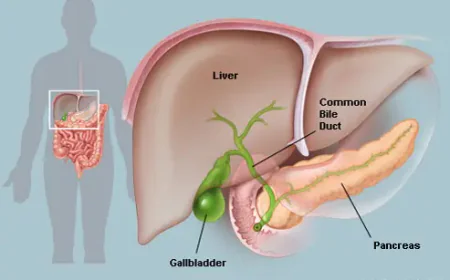 Liver Transplant Hospital in Delhi: Evaluation and Care Guide